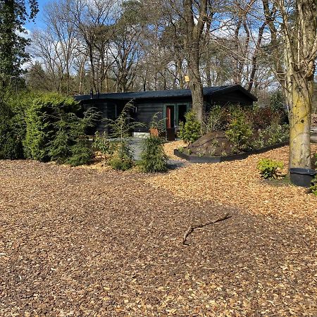De Veluwse Bos Lodge Otterlo Esterno foto