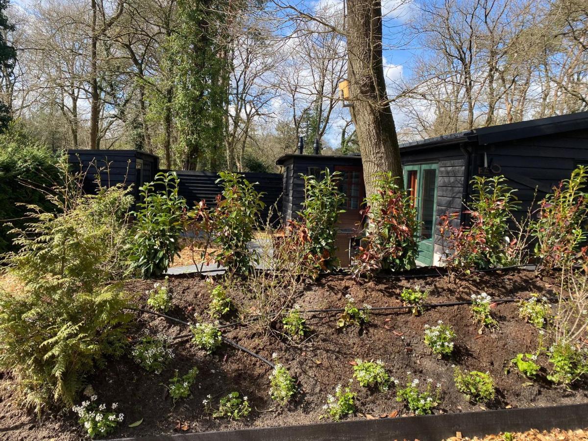 De Veluwse Bos Lodge Otterlo Esterno foto